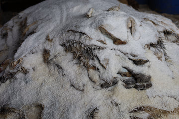 Gerberei Birke Fellshop