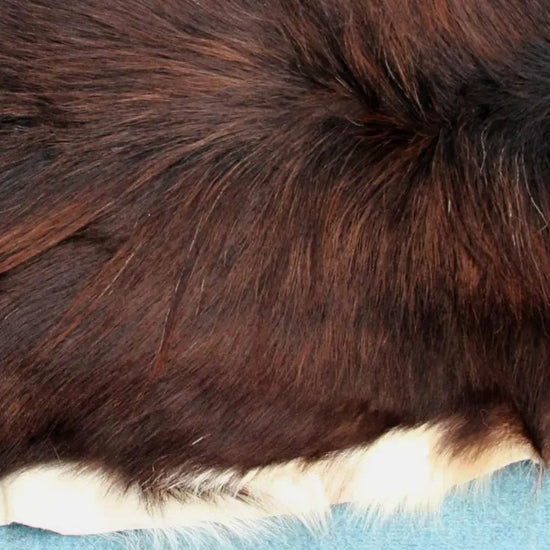 Naturbelassenes Ziegenfell (300) – Ökologisch in Deutschland gegerbt Gerberei Birke Fellshop