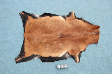 Kamerun Schaf (313) Gerberei Birke