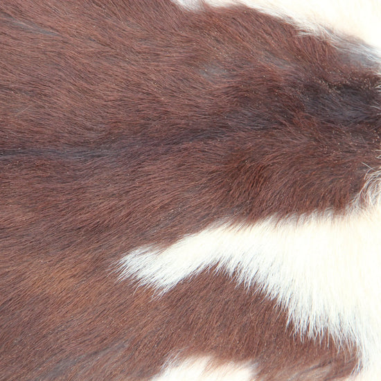 Naturbelassenes Ziegenfell (396) – Ökologisch in Deutschland gegerbt Gerberei Birke Fellshop