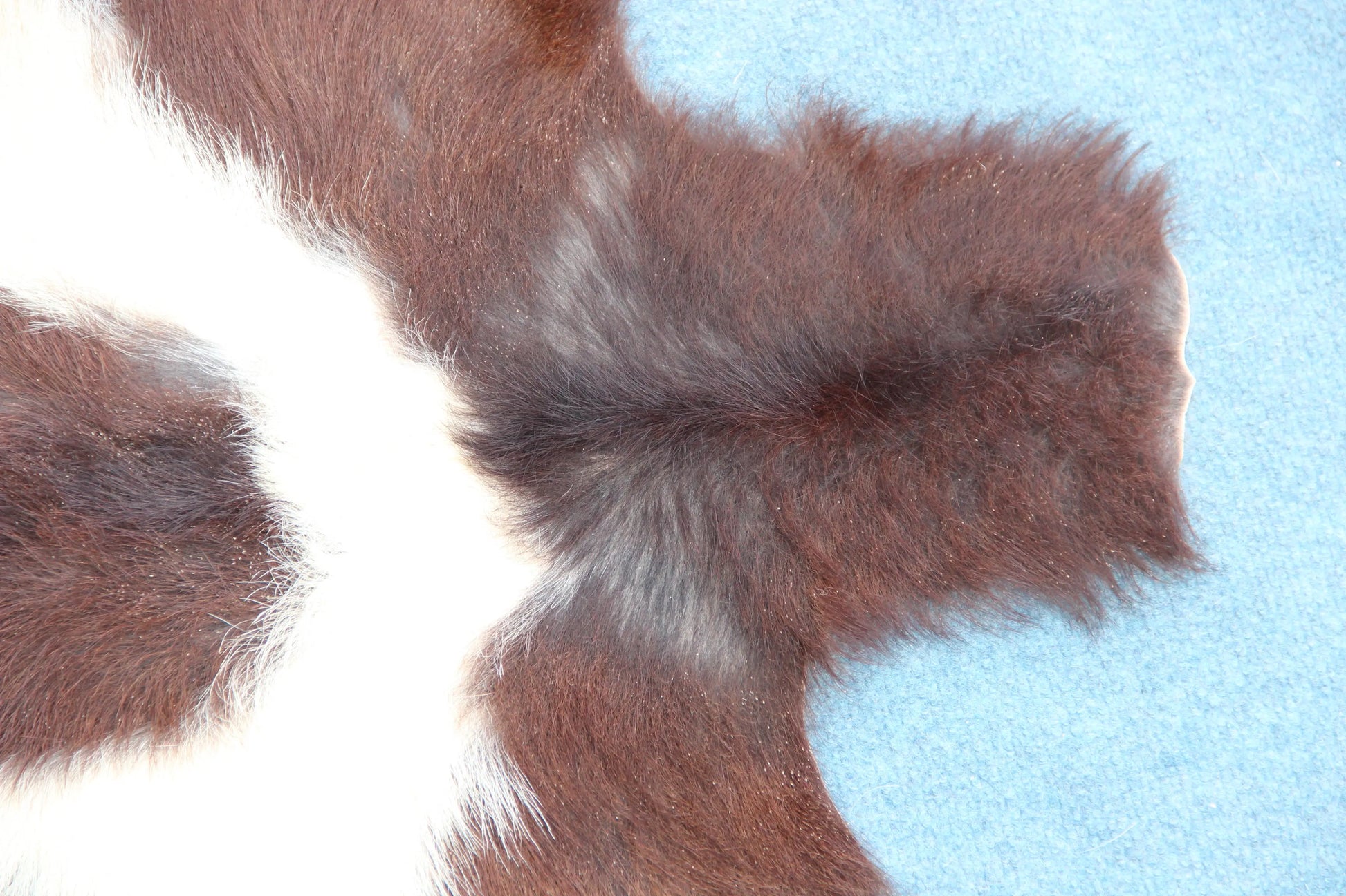 Naturbelassenes Ziegenfell (396) – Ökologisch in Deutschland gegerbt Gerberei Birke Fellshop