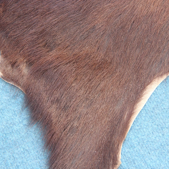 Naturbelassenes Ziegenfell (396) – Ökologisch in Deutschland gegerbt Gerberei Birke Fellshop