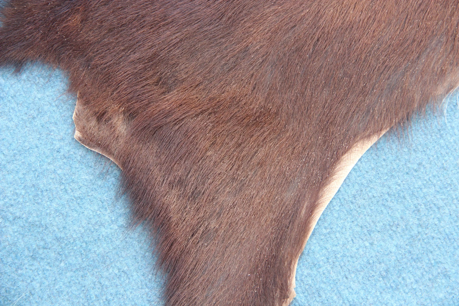 Naturbelassenes Ziegenfell (396) – Ökologisch in Deutschland gegerbt Gerberei Birke Fellshop