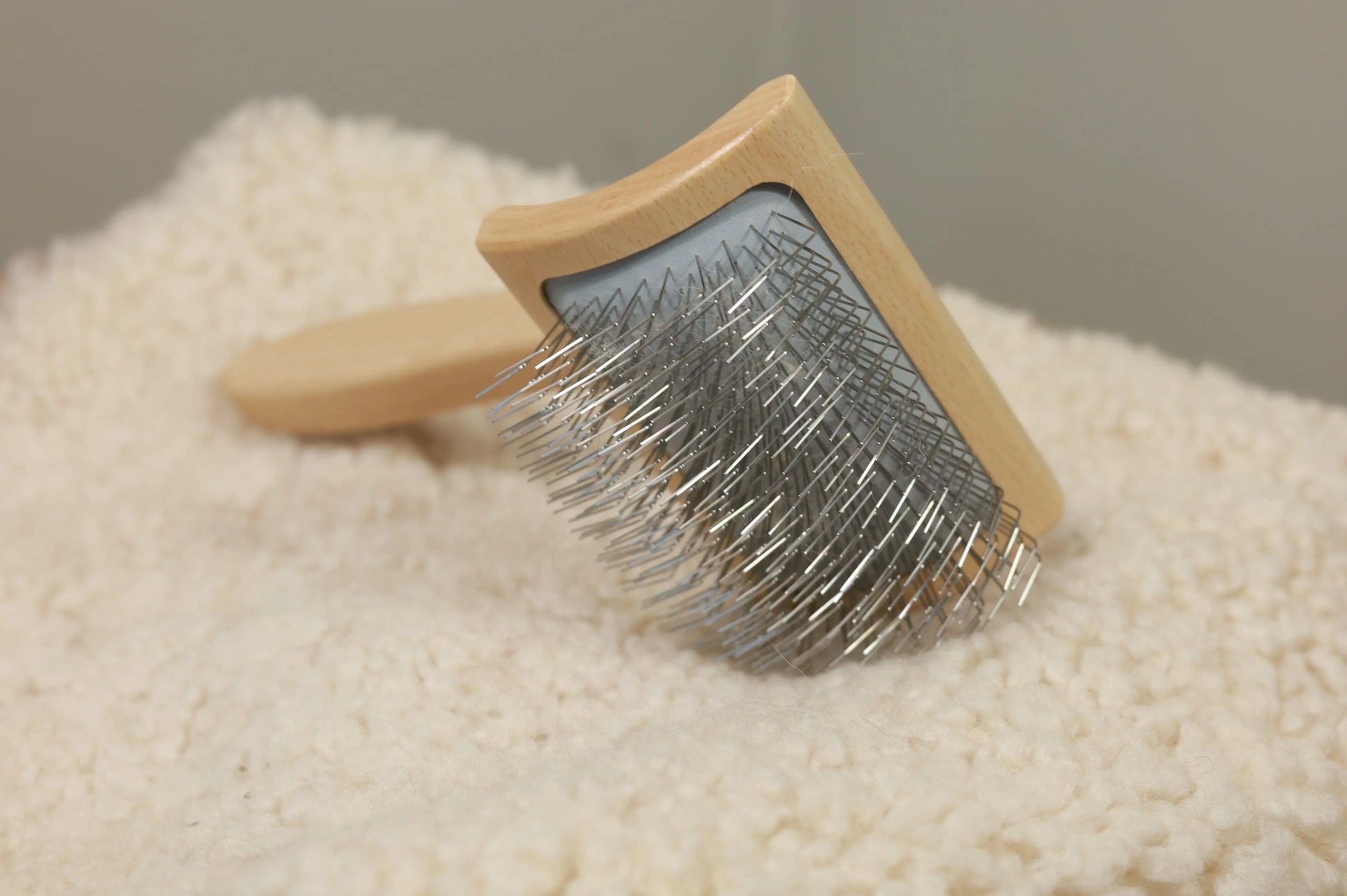 Die Fellbürste – von Profis getestet & für die beste Fellpflege Gerberei Birke Fellshop