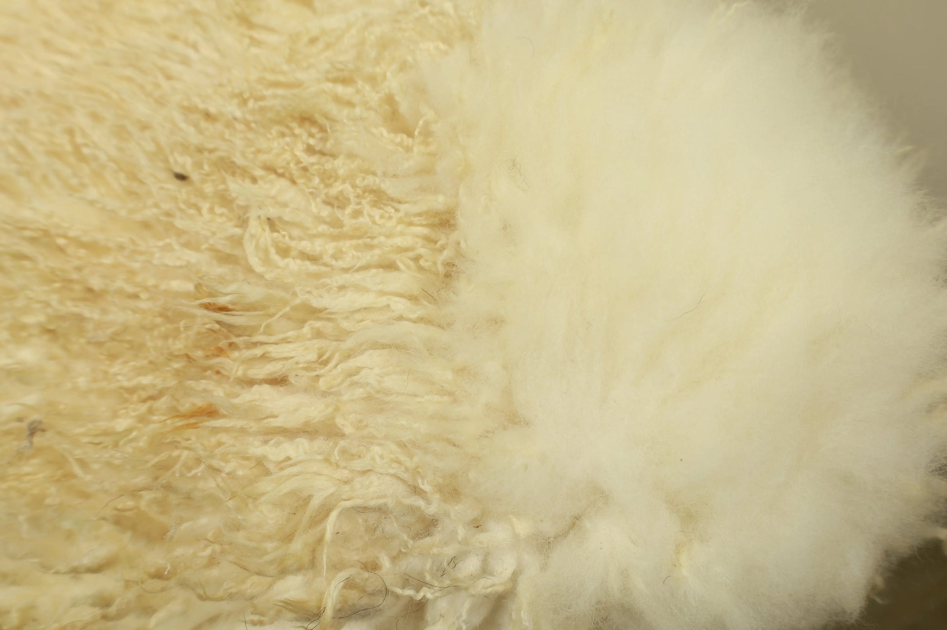 Die Fellbürste – von Profis getestet & für die beste Fellpflege Gerberei Birke Fellshop