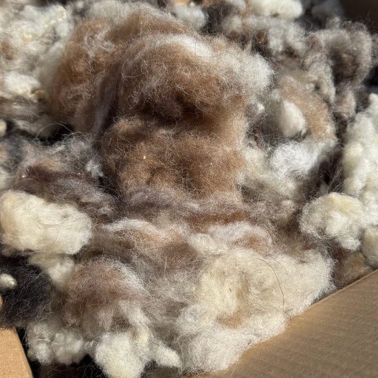 200g naturbelassene Schafwolle – gereinigt & entstaubt  Gerberei Birke Fellshop