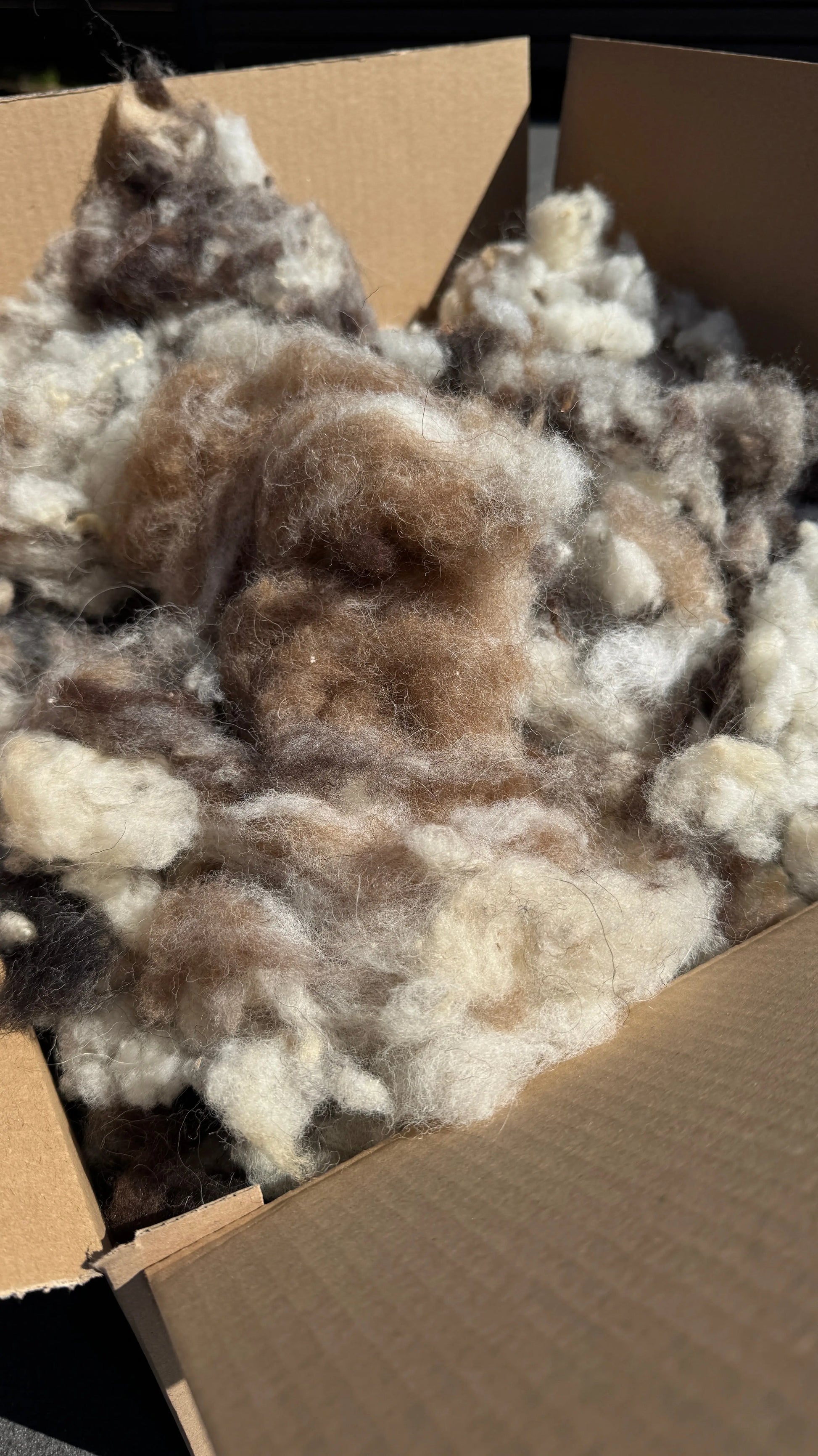 200g naturbelassene Schafwolle – gereinigt & entstaubt  Gerberei Birke Fellshop