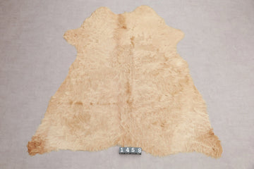 Kuhfell Gelb Gold Langhaar (1458) 1-2 qm  Gerberei Birke Fellshop
