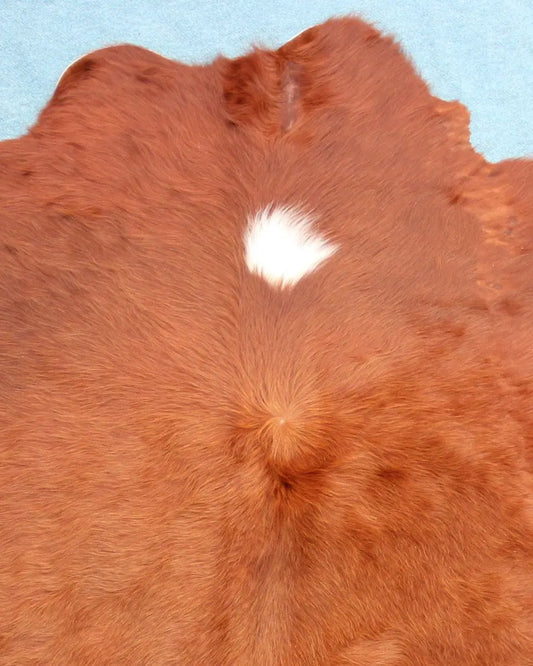 Kuhfell Braun Beige Weiß (3456) 3-4 qm  Gerberei Birke Fellshop