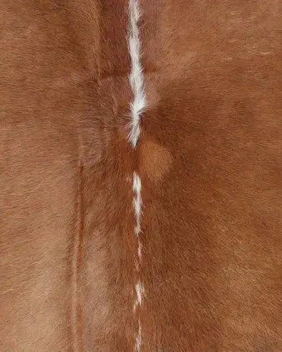 Kuhfell Braun-Beige - KF 1284  Gerberei Birke Fellshop: Nahaufnahme Rücken