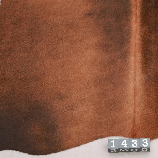 Kuhfell Braun (1433) 1-2 qm  Gerberei Birke Fellshop: Nahaufnahme Bein