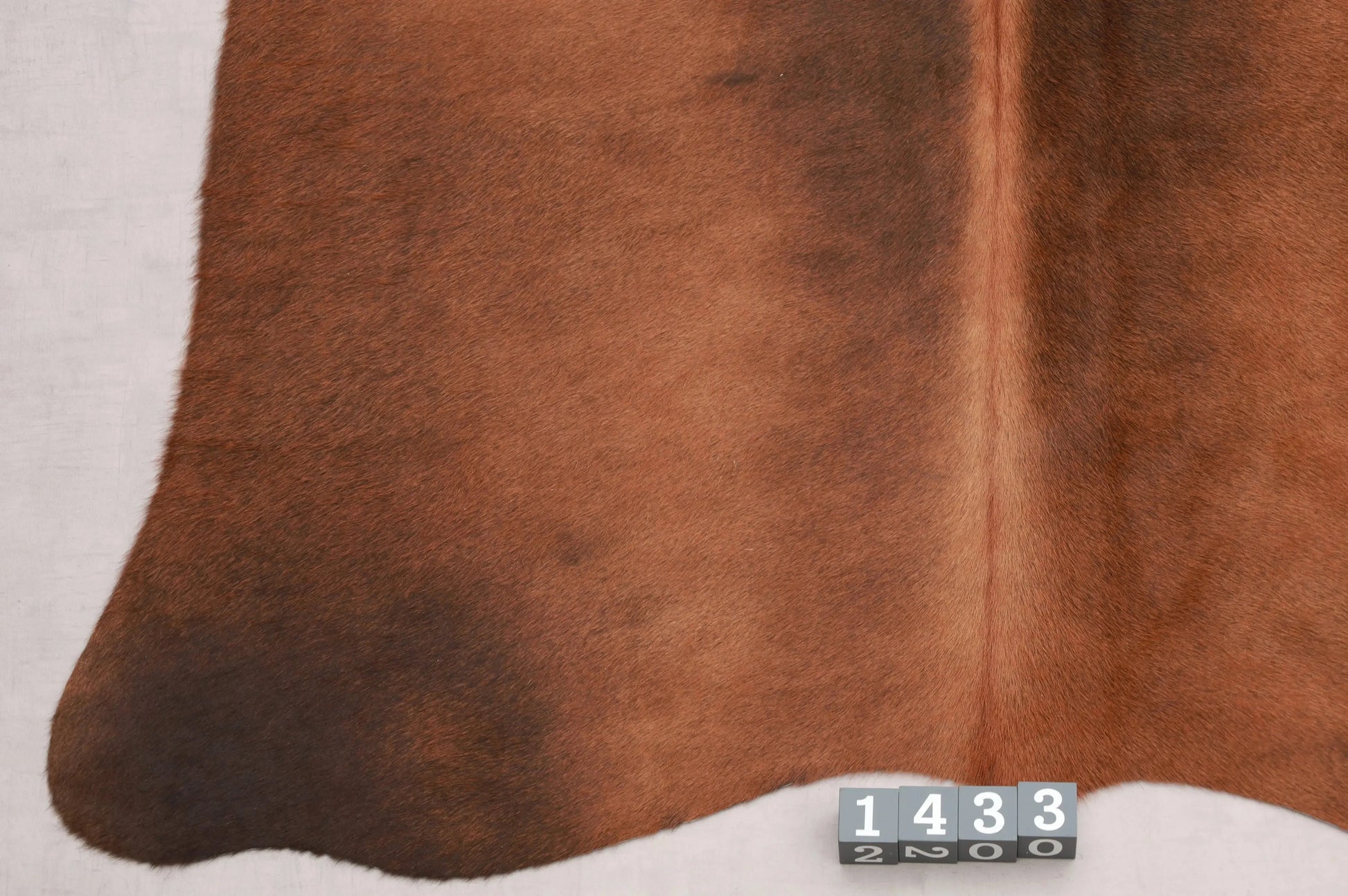 Kuhfell Braun (1433) 1-2 qm  Gerberei Birke Fellshop: Nahaufnahme Bein