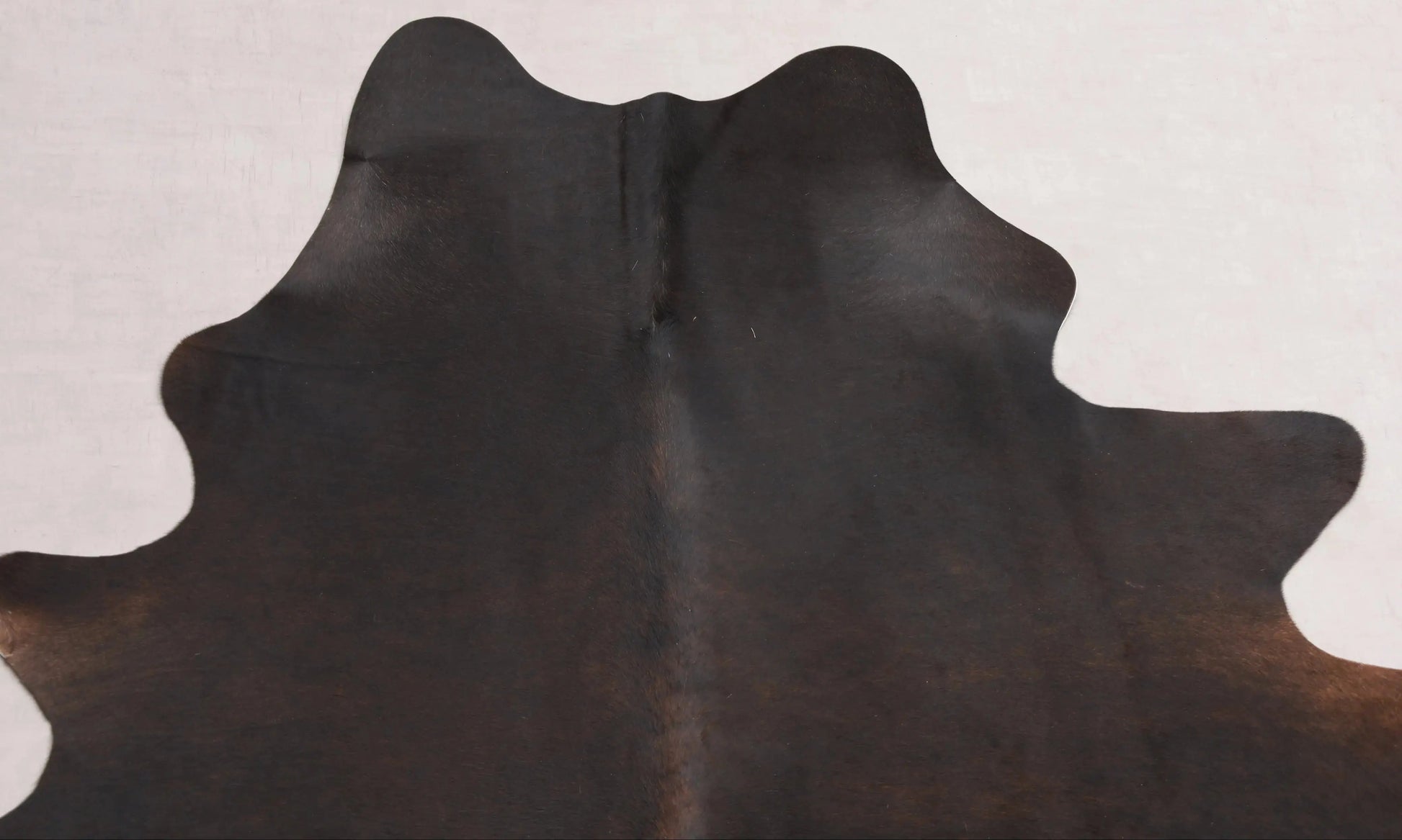 Kuhfell Braun Schwarz Beige (2705) 2-3 qm  Gerberei Birke Fellshop: Nahaufnahme Hals