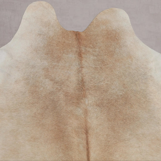 Kuhfell Beige Weiß (2706) 2-3 qm  Gerberei Birke Fellshop: Nahaufnahme Hals