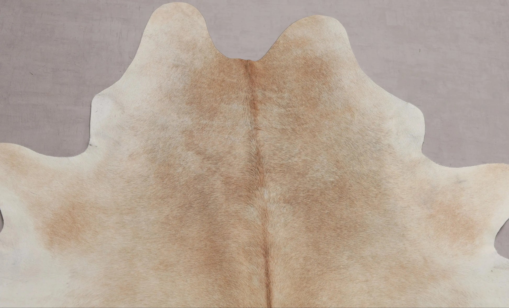 Kuhfell Beige Weiß (2706) 2-3 qm  Gerberei Birke Fellshop: Nahaufnahme Hals