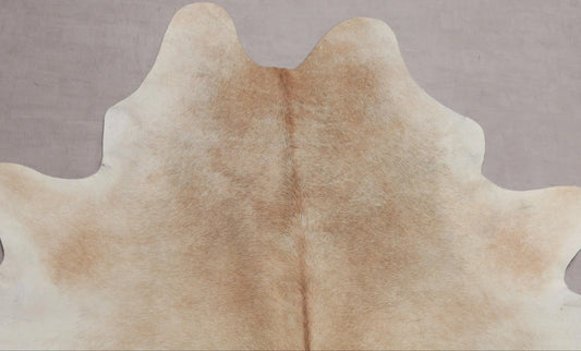 Kuhfell Beige Weiß (2706) 2-3 qm  Gerberei Birke Fellshop: Nahaufnahme Hals