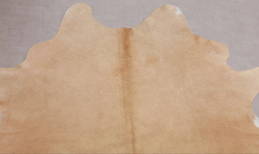 Kuhfell Beige Weiß (2711) 2-3 qm  Gerberei Birke Fellshop: Nahaufnahme Hals