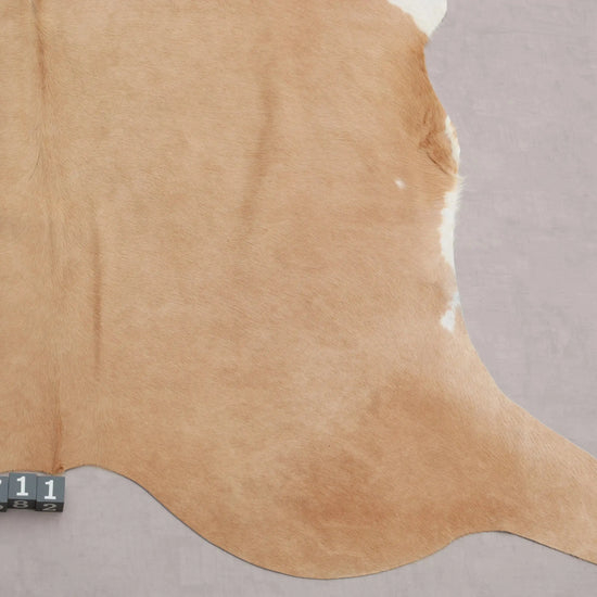 Kuhfell Beige Weiß (2711) 2-3 qm  Gerberei Birke Fellshop: Nahaufnahme Bein