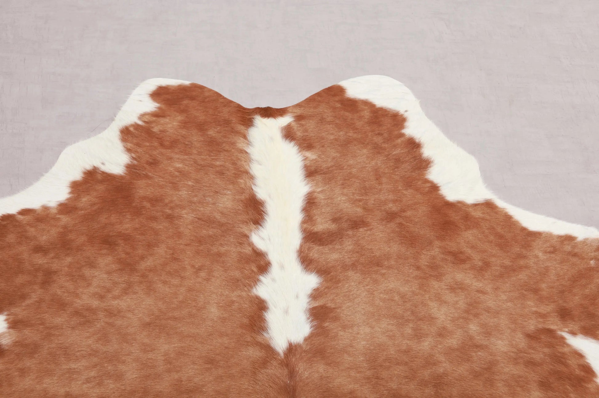 Kuhfell Beige Weiß Natürlicher Giraffenlook (2713) 2-3 qm  Gerberei Birke Fellshop: Nahaufnahme Hals