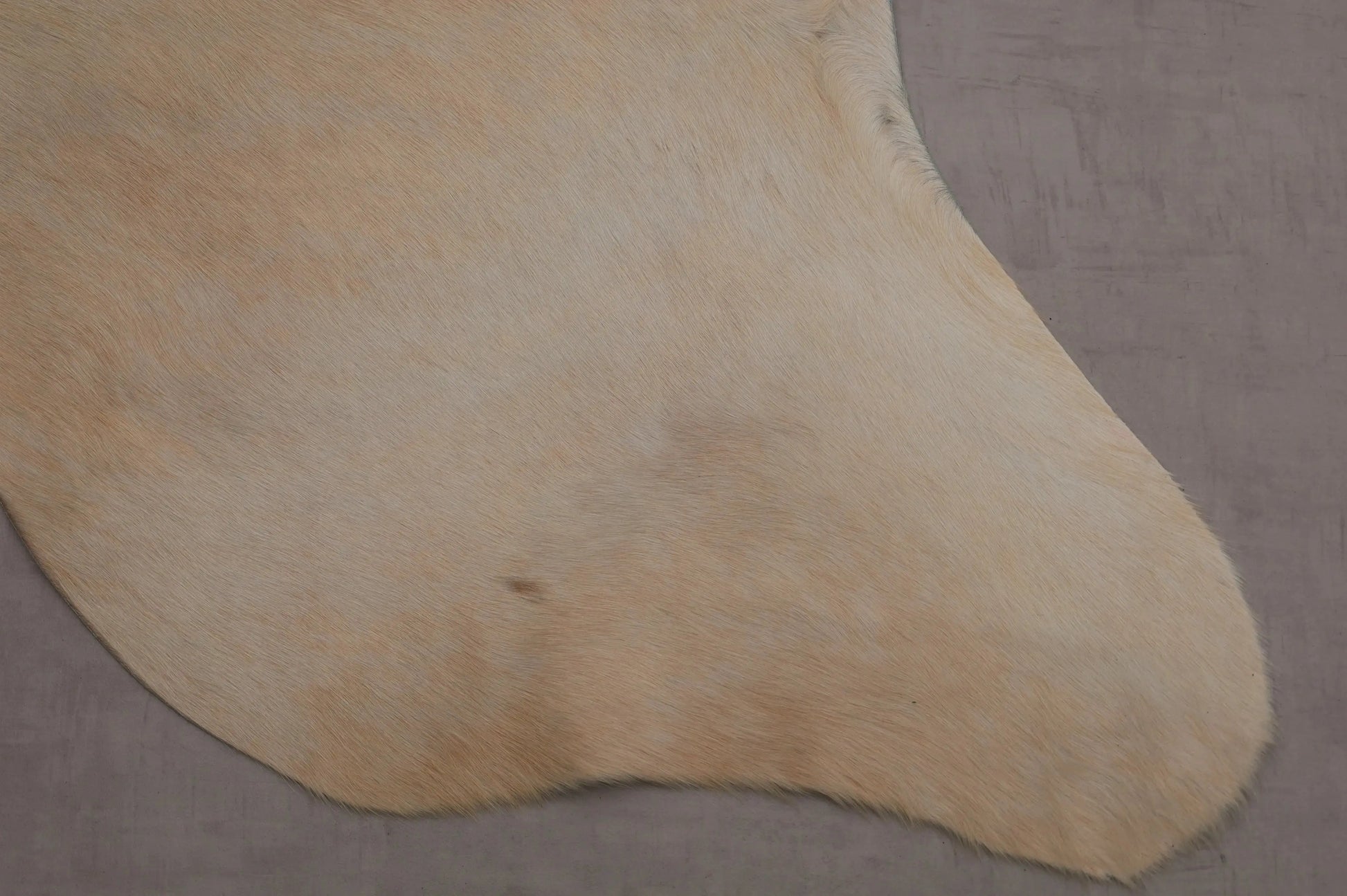 Kuhfell Beige Gold getigert (2720) 2-3 qm  Gerberei Birke Fellshop: Nahaufnahme Bein