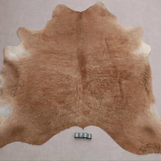 Kuhfell Braun Beige Langhaar (2721) 2-3 qm  Gerberei Birke Fellshop: Gesamtaufnahme