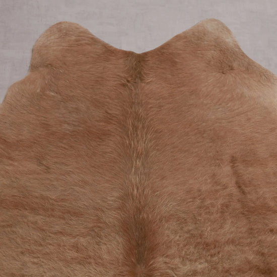 Kuhfell Braun Beige Langhaar (2721) 2-3 qm  Gerberei Birke Fellshop: Nahaufnahme Hals