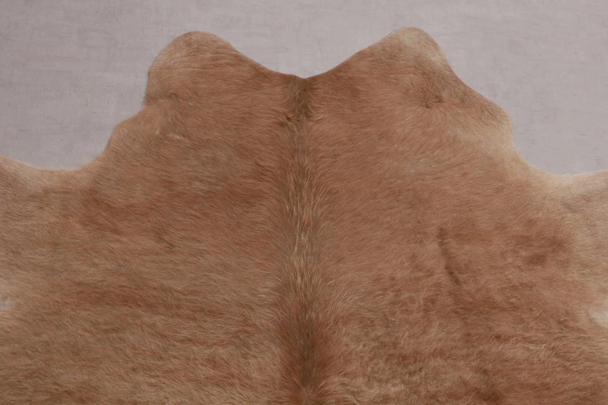 Kuhfell Braun Beige Langhaar (2721) 2-3 qm  Gerberei Birke Fellshop: Nahaufnahme Hals