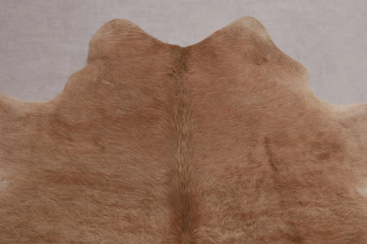 Kuhfell Braun Beige Langhaar (2721) 2-3 qm  Gerberei Birke Fellshop: Nahaufnahme Hals