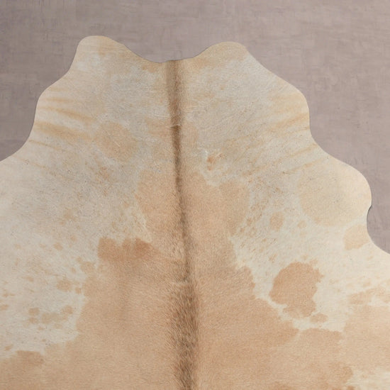 Kuhfell Beige Weiß Grau (2725) 2-3 qm  Gerberei Birke Fellshop: Nahaufnahme Hals