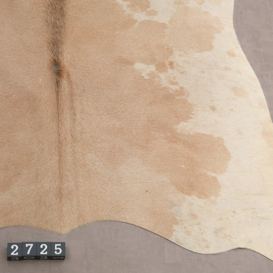 Kuhfell Beige Weiß Grau (2725) 2-3 qm  Gerberei Birke Fellshop: Nahaufnahme Bein