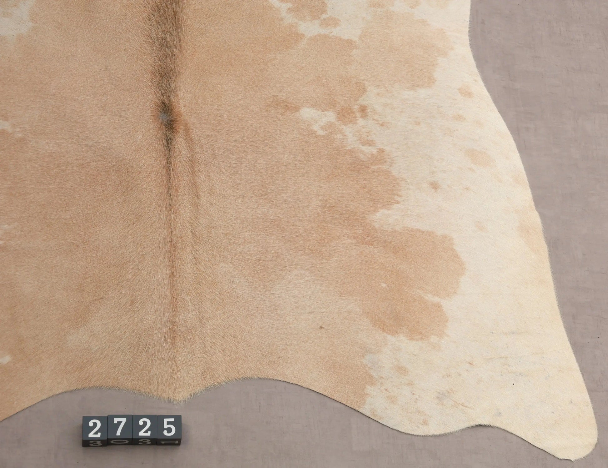 Kuhfell Beige Weiß Grau (2725) 2-3 qm  Gerberei Birke Fellshop: Nahaufnahme Bein
