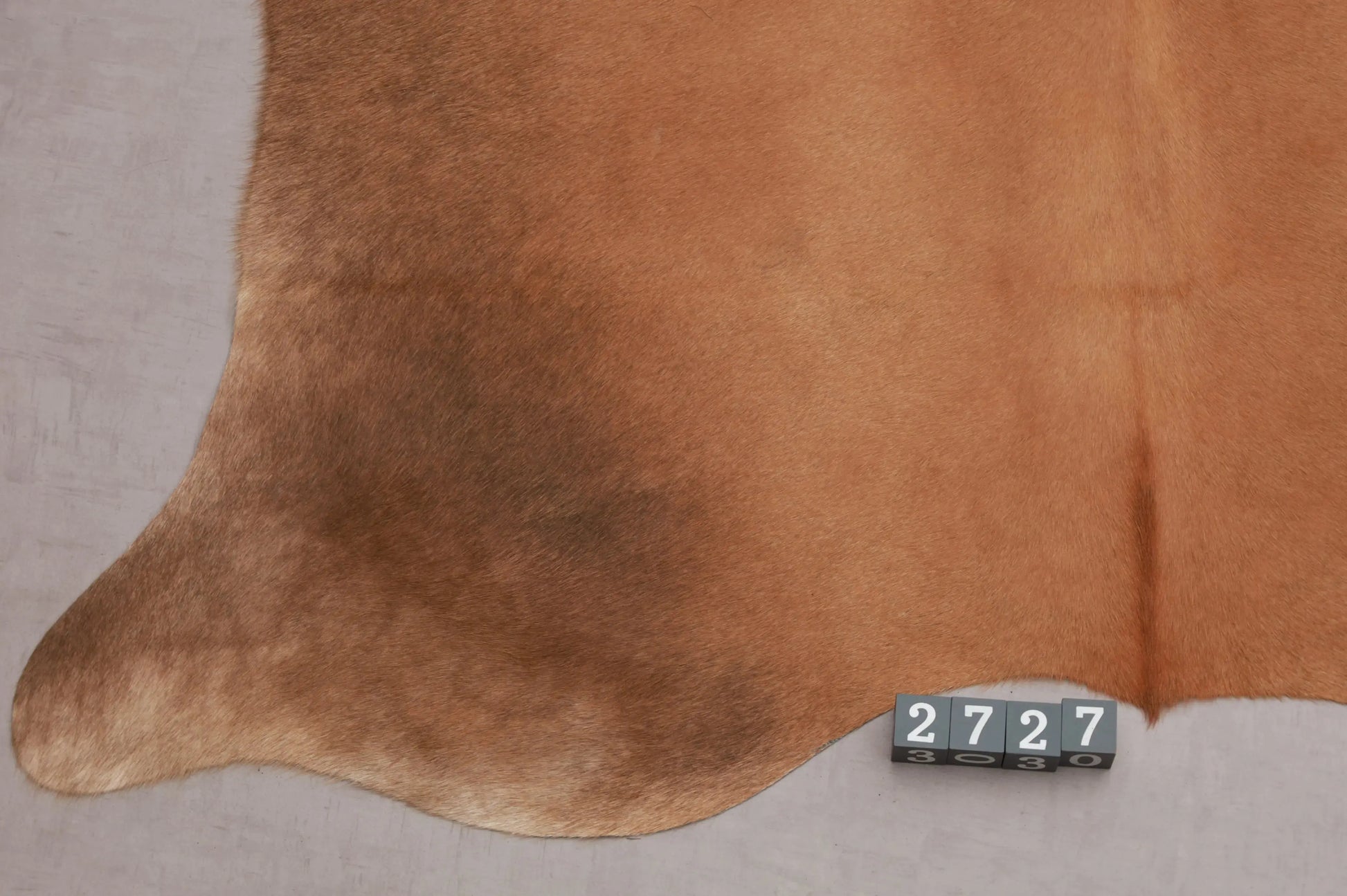 Kuhfell Beige Braun (2727) 2-3 qm  Gerberei Birke Fellshop: Nahaufnahme Bein