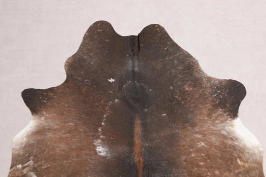 Kuhfell Schwarz Weiß Braun (2736) 2-3 qm  Gerberei Birke Fellshop: Nahaufnahme Hals