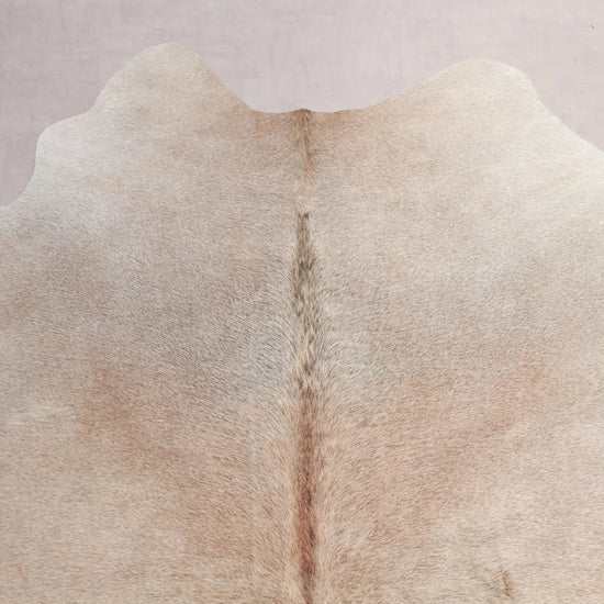 Kuhfell Beige Grau Weiß Braun (2738) 2-3 qm  Gerberei Birke Fellshop: Nahaufnahme Hals