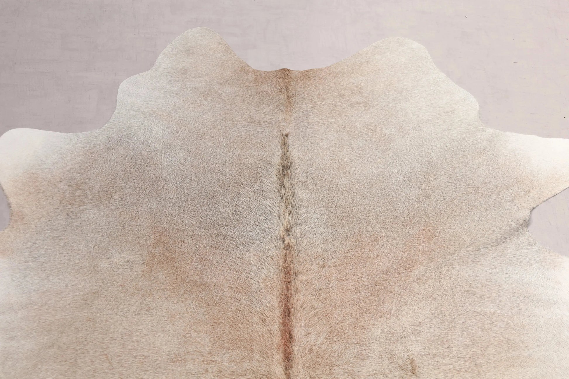 Kuhfell Beige Grau Weiß Braun (2738) 2-3 qm  Gerberei Birke Fellshop: Nahaufnahme Hals
