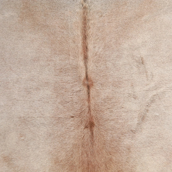 Kuhfell Beige Grau Weiß Braun (2738) 2-3 qm  Gerberei Birke Fellshop: Nahaufnahme Rücken
