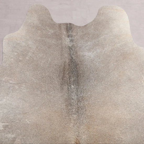 Kuhfell Beige Grau Weiß Braun (2739) 2-3 qm  Gerberei Birke Fellshop: Nahaufnahme Hals