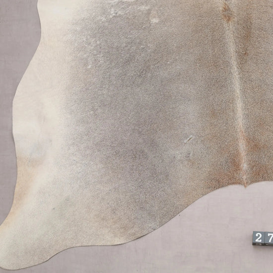 Kuhfell Beige Grau Weiß Braun (2739) 2-3 qm  Gerberei Birke Fellshop: Nahaufnahme Bein