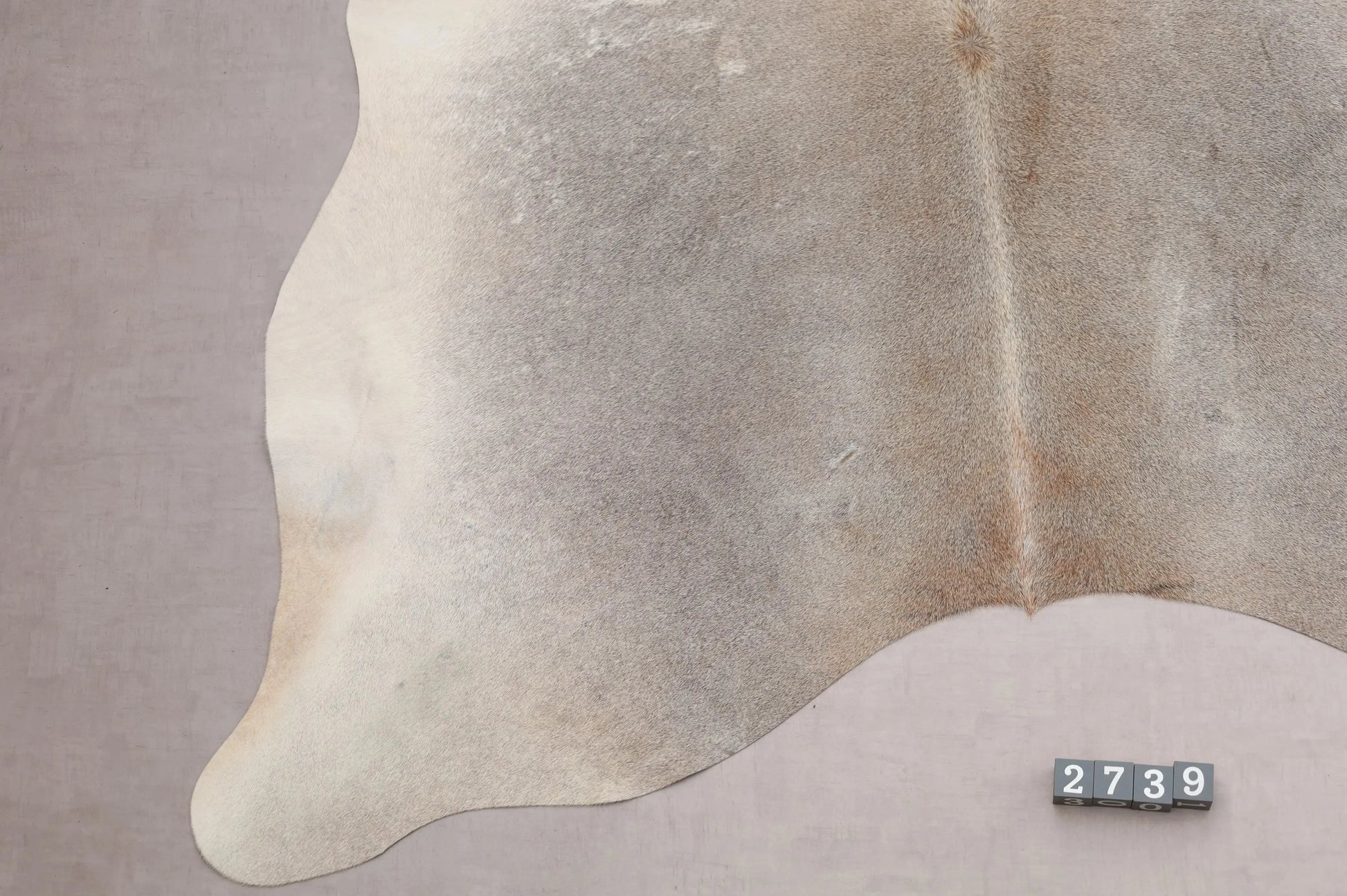 Kuhfell Beige Grau Weiß Braun (2739) 2-3 qm  Gerberei Birke Fellshop: Nahaufnahme Bein