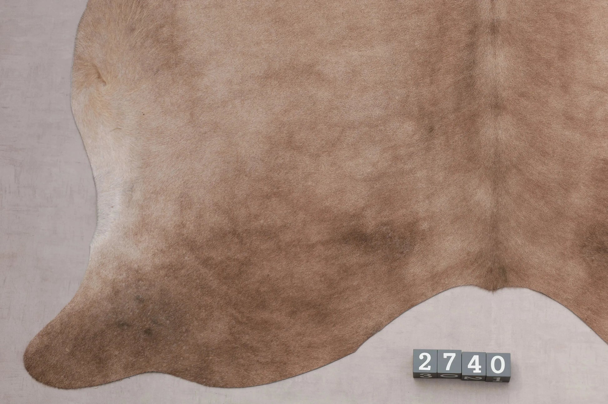 Kuhfell Beige Braun (2740) 2-3 qm  Gerberei Birke Fellshop: Nahaufnahme Bein