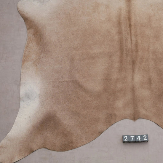 Kuhfell Beige Braun (2742) 2-3 qm  Gerberei Birke Fellshop: Nahaufnahme Bein