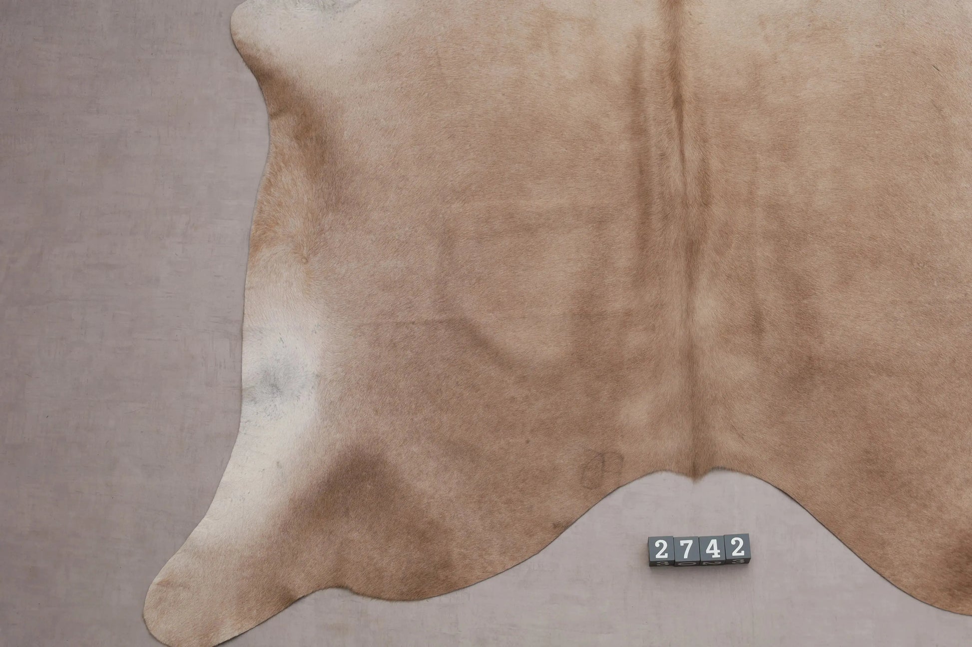 Kuhfell Beige Braun (2742) 2-3 qm  Gerberei Birke Fellshop: Nahaufnahme Bein