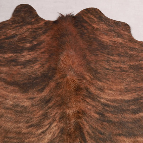 Kuhfell Schwarz Braun getigert (2744) 2-3 qm  Gerberei Birke Fellshop: Nahaufnahme Hals
