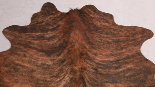 Kuhfell Schwarz Braun getigert (2744) 2-3 qm  Gerberei Birke Fellshop: Nahaufnahme Hals