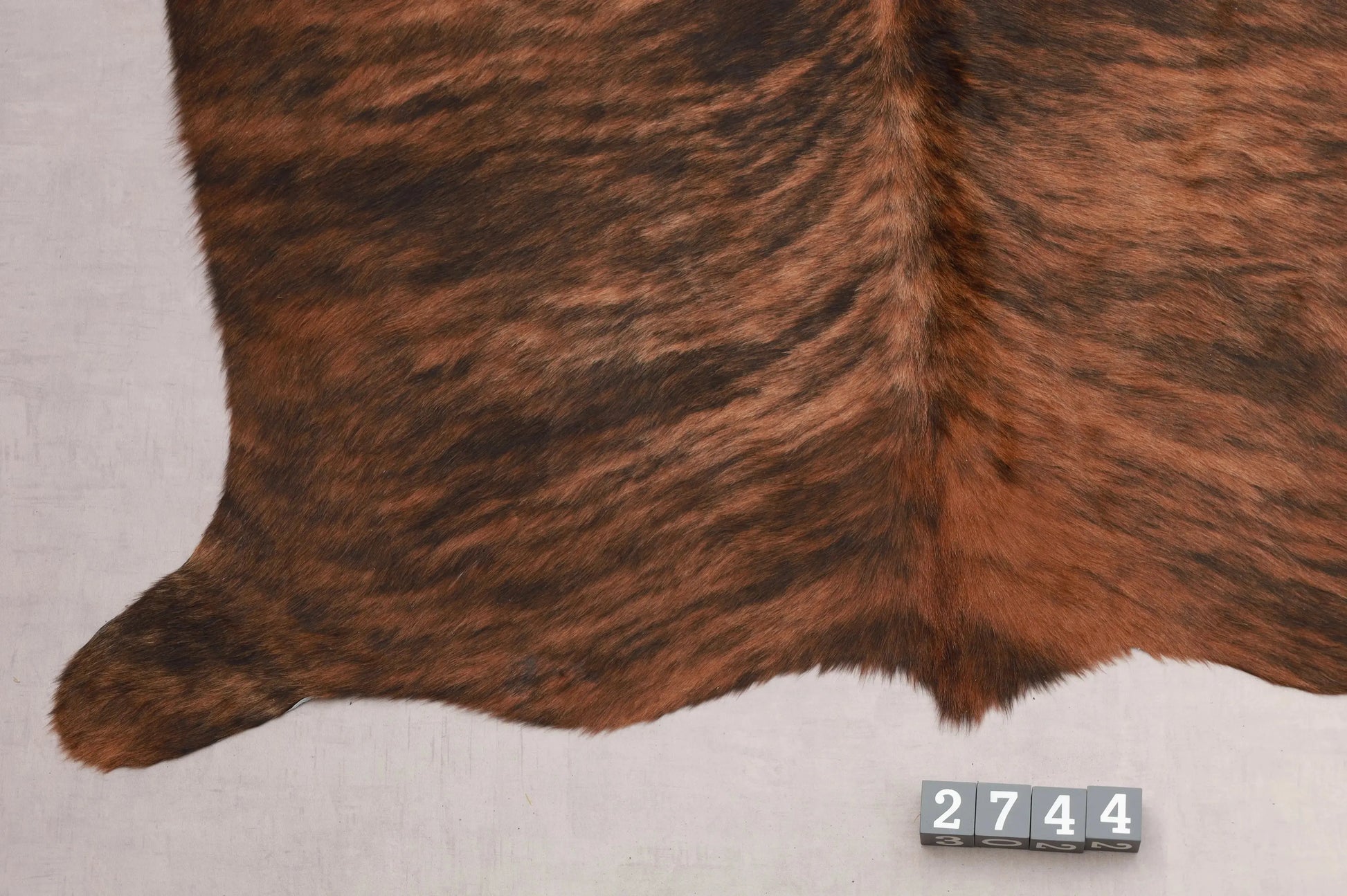 Kuhfell Schwarz Braun getigert (2744) 2-3 qm  Gerberei Birke Fellshop: Nahaufnahme Bein