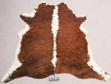 Kuhfell Braun Schwarz Weiß getigert (2747) 2-3 qm  Gerberei Birke Fellshop: Gesamtaufnahme