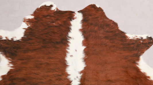 Kuhfell Braun Schwarz Weiß getigert (2747) 2-3 qm  Gerberei Birke Fellshop: Nahaufnahme Hals