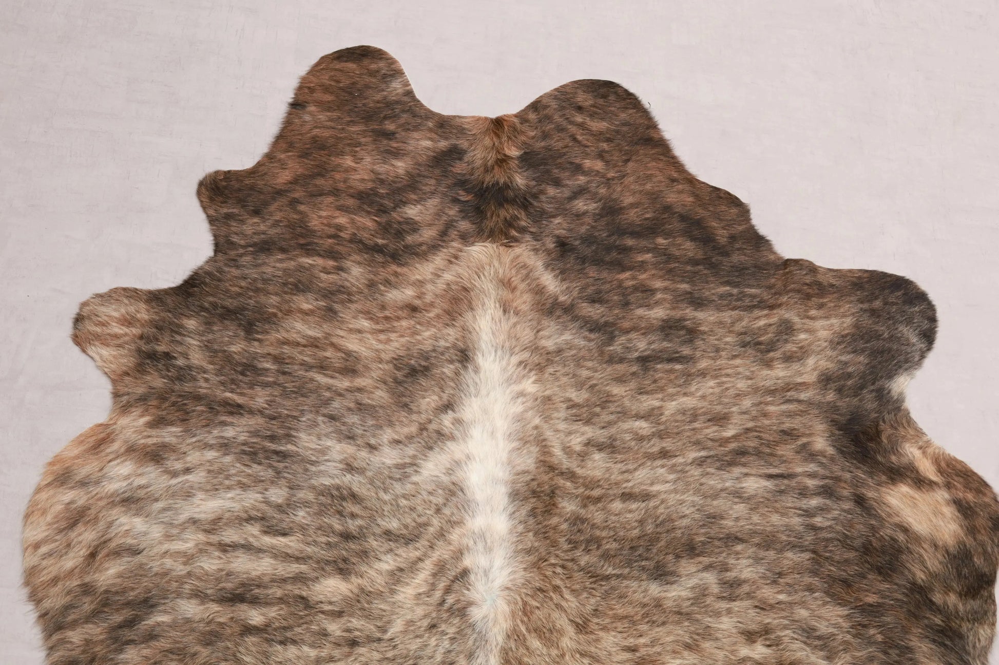 Kuhfell Beige Braun Weiß Schwarz getigert (2749) 2-3 qm  Gerberei Birke Fellshop: Nahaufnahme Hals