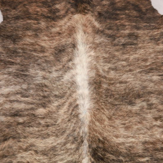 Kuhfell Beige Braun Weiß Schwarz getigert (2749) 2-3 qm  Gerberei Birke Fellshop: Nahaufnahme Rücken