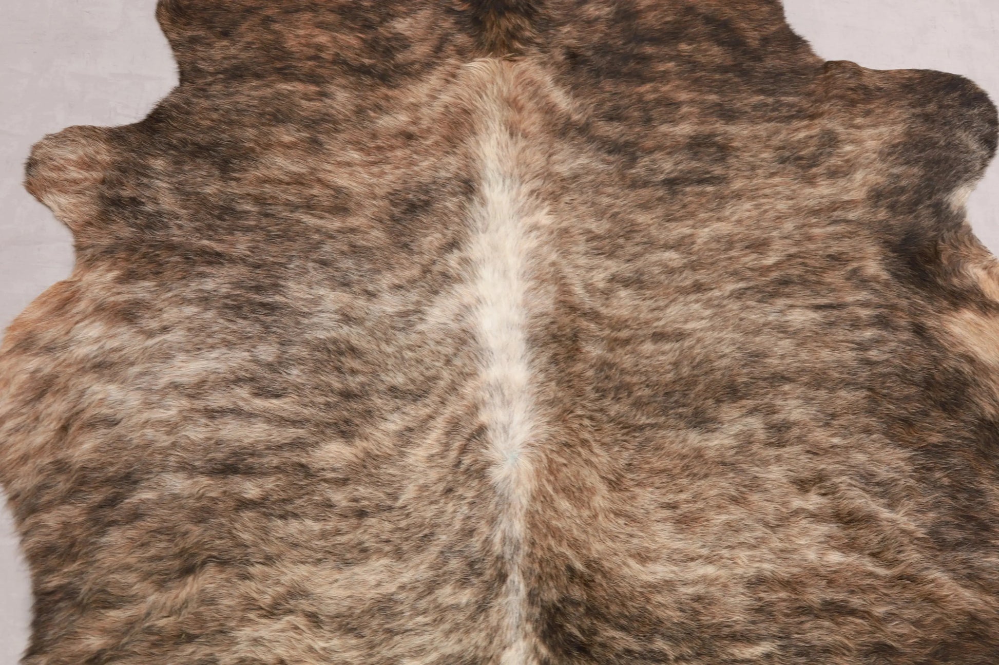 Kuhfell Beige Braun Weiß Schwarz getigert (2749) 2-3 qm  Gerberei Birke Fellshop: Nahaufnahme Rücken